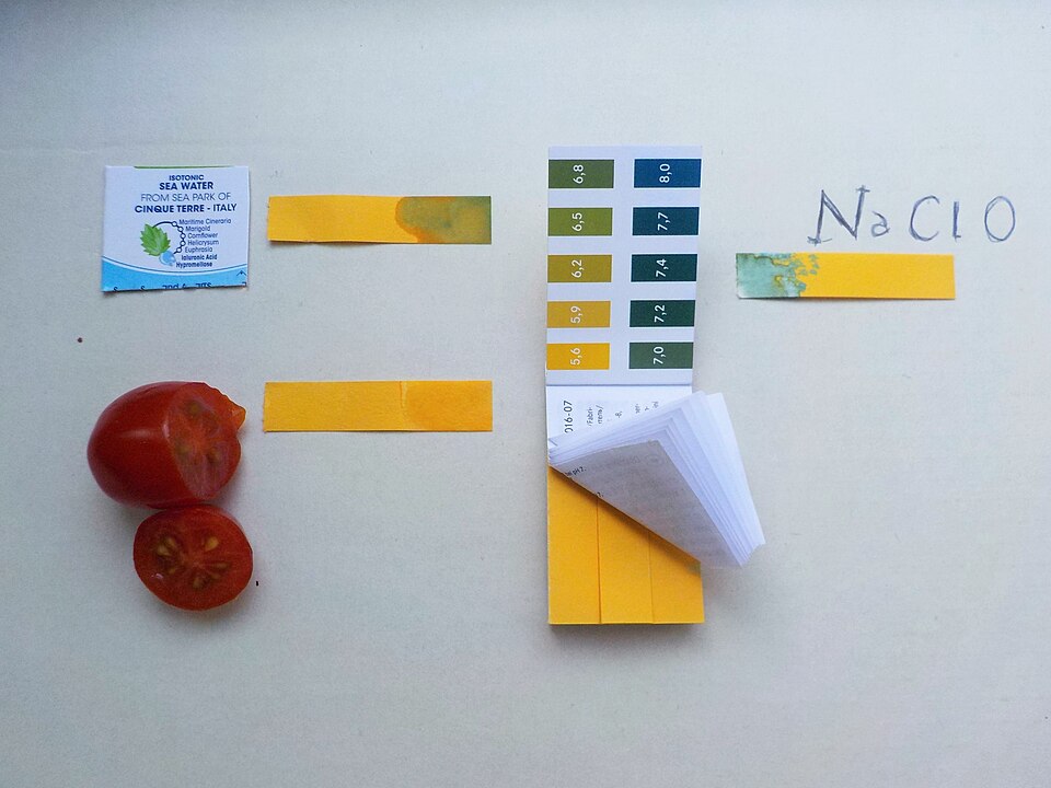 Bandelettes de papier pH universel jaunes et vertes à côté de leur nuancier de couleurs, d'une tomate et d'un sachet d'eau de mer